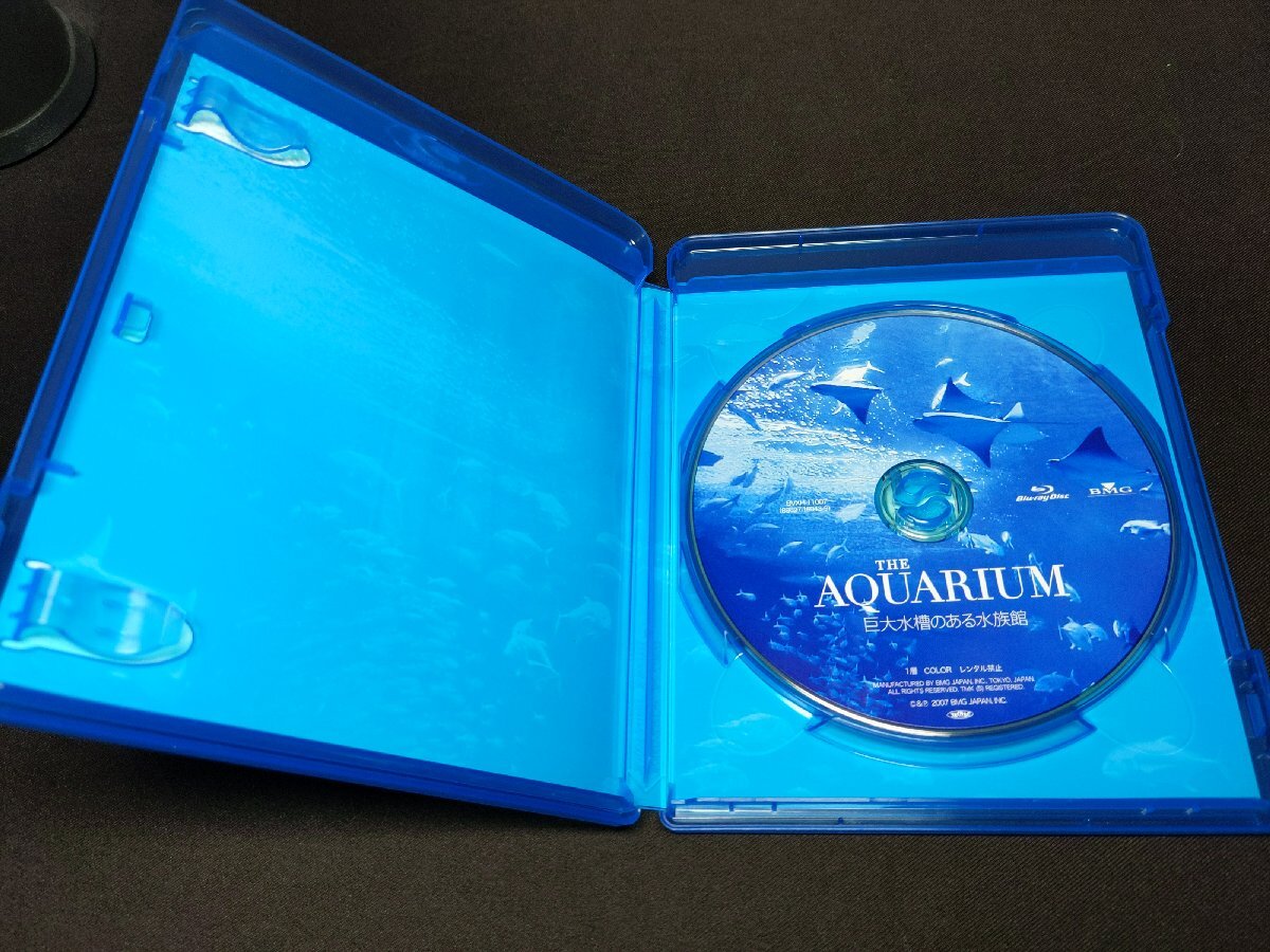 セル版 Blu-ray THE AQUARIUM 巨大水槽のある水族館 / fc134_画像5