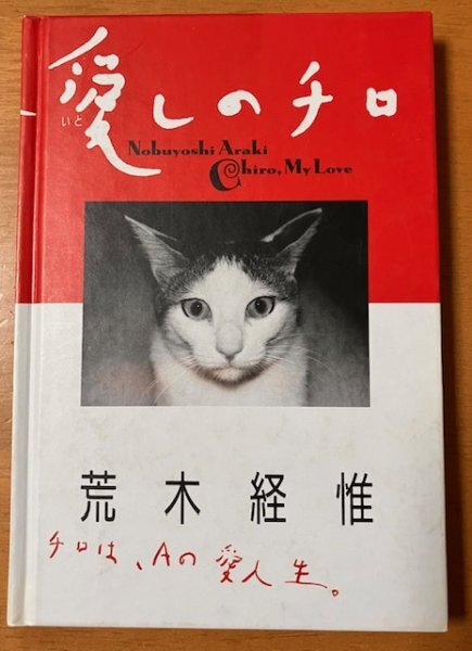 写真集 荒木経惟 / 愛しのチロ チロはAの愛人生 平凡社 1990年初版第一刷 帯なし_画像1