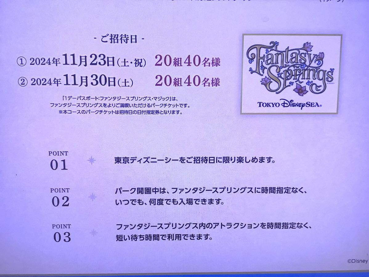 ★即決★２４枚 応募 明治 ブルガリアヨーグルト 夢と魔法のキャンペーン ファンタジースプリングス・マジック 2枚当たる 応募マーク 懸賞_画像4