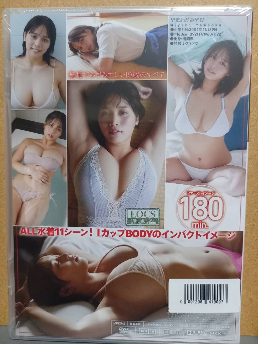 【新品DVD】山岡雅弥『19 ナインティーン』 数量限定9の画像2