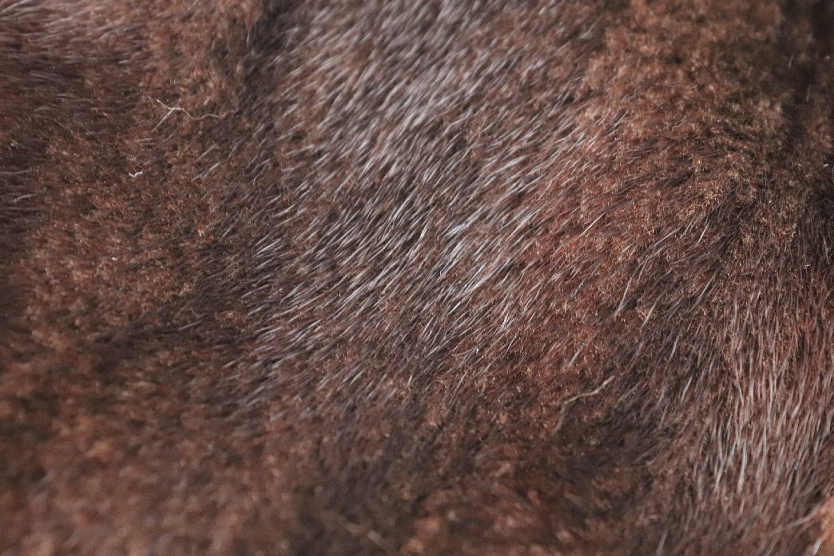 BLACKGLAMA ブラックグラマ × ELEGANCE L fur 毛皮 ファー コート ミンク サイズF ブラウン系 レディース 5368-NA_画像8