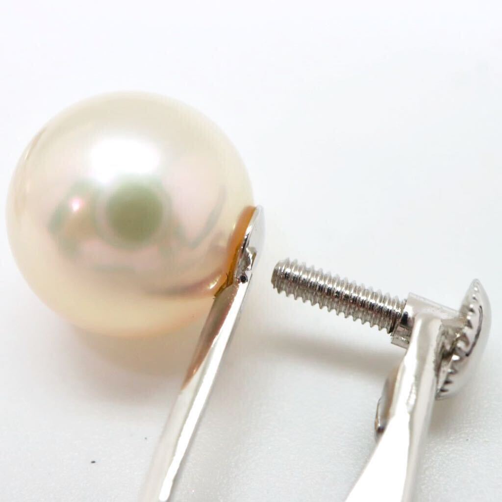 良品!!大珠!!＊K14WGアコヤ本真珠イヤリング＊m 約2.9g 約8.5mm pearl earring jewelry DH8/DH8_画像6