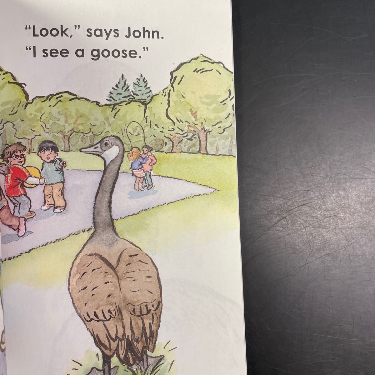 英語　絵本　読み聞かせ 児童書 Children English picture book Goose on the Loose Scholastic Reader バイリンガル　教育　外国語　_画像5