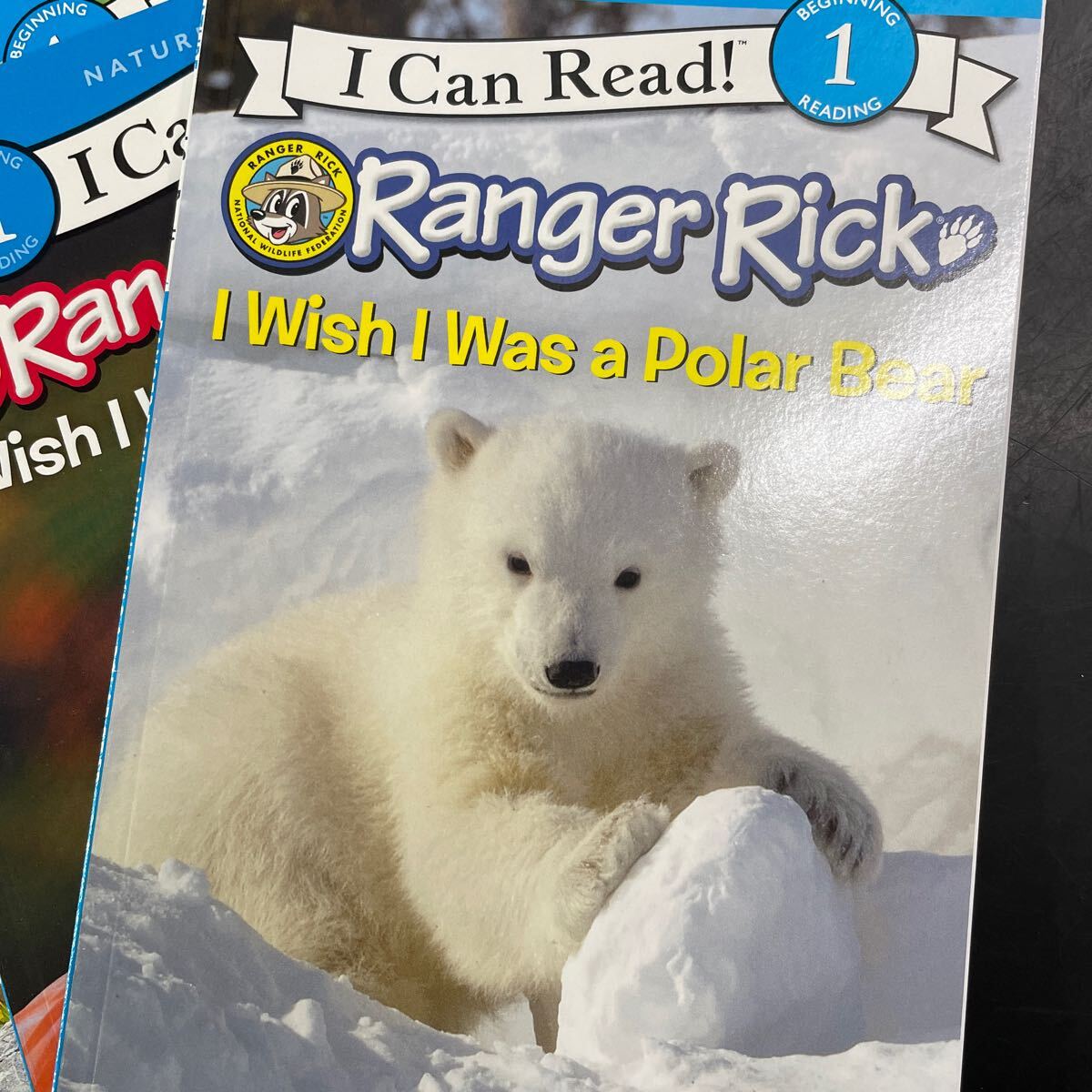 英語　絵本　読み聞かせ 児童書 Children English picture book I can read Ranger Rick animals バイリンガル　教育　外国語　8冊セット_画像2