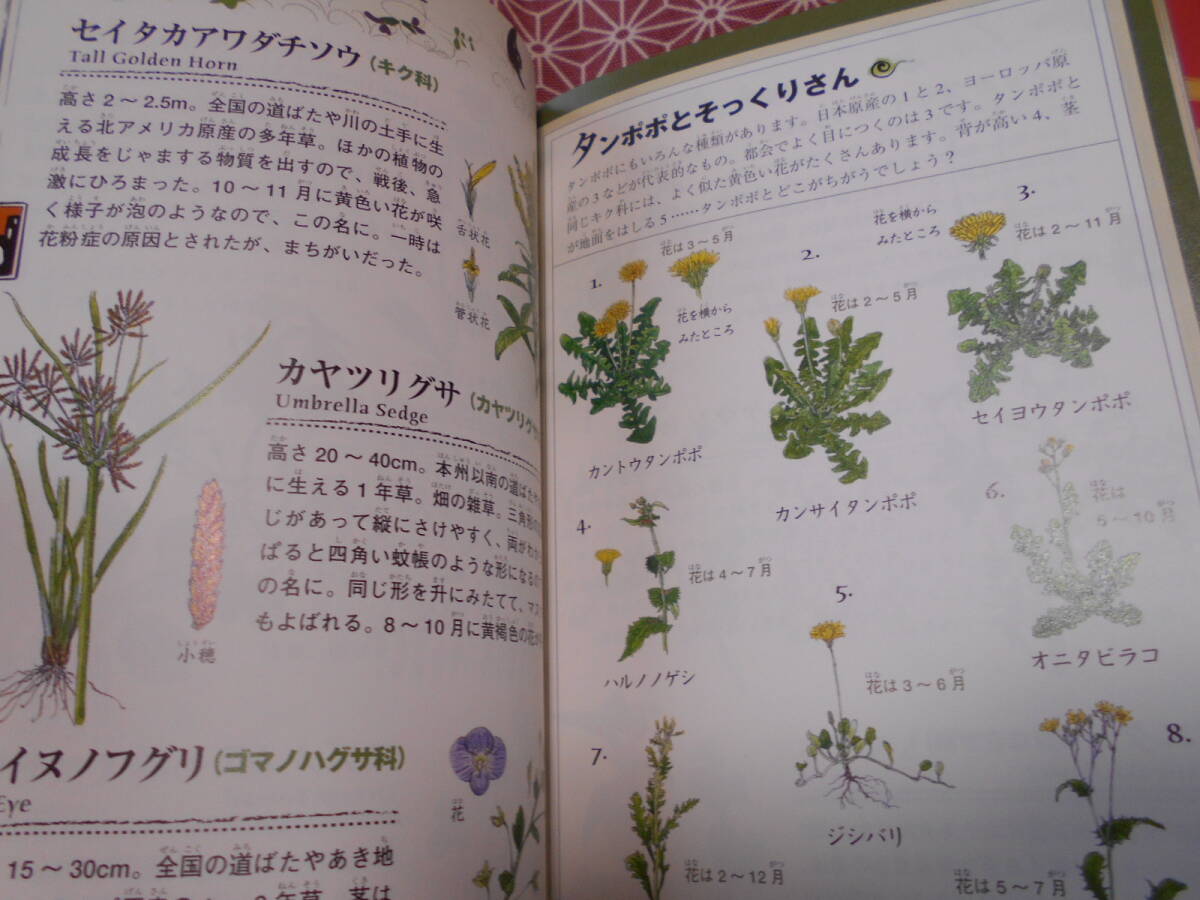 * japanese raw kimono illustrated reference book .. company ( editing ) stone door .(..) now Izumi . Akira (..)* fish, reptiles, amphibia, mammalian, tree,,,, japanese nature .......!