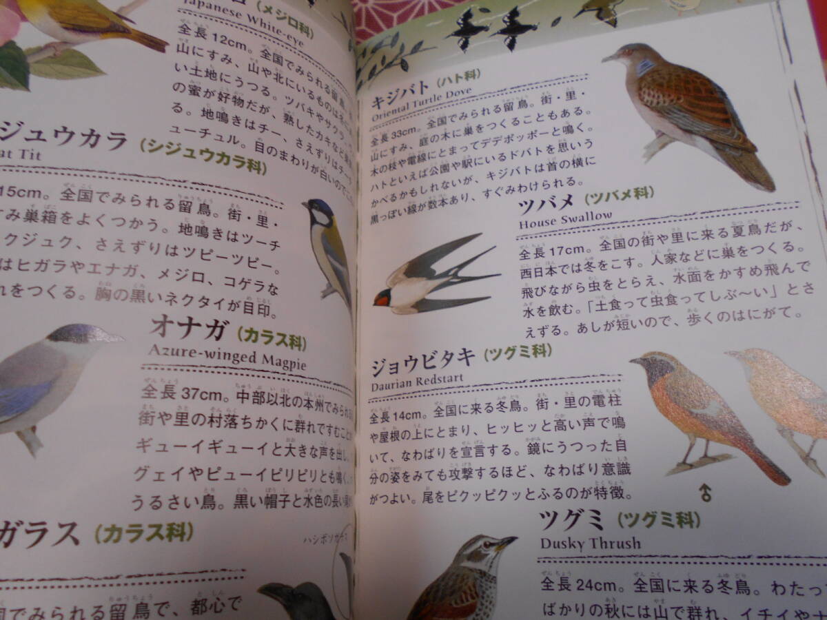 * japanese raw kimono illustrated reference book .. company ( editing ) stone door .(..) now Izumi . Akira (..)* fish, reptiles, amphibia, mammalian, tree,,,, japanese nature .......!