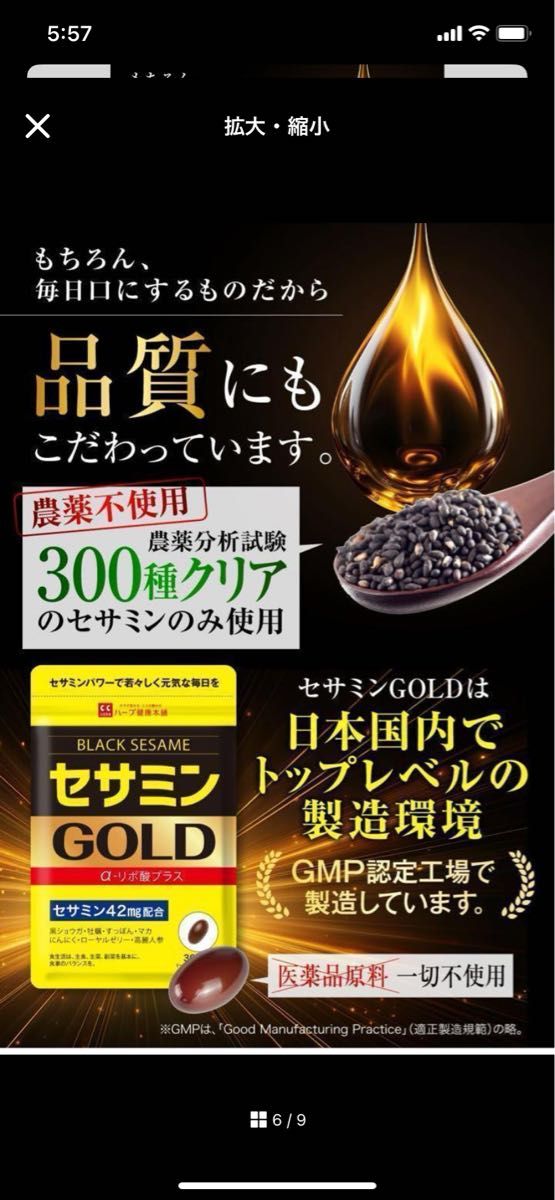 【新品】セサミンGOLD  黒セサミン マカ 亜鉛 α-リポ酸 牡蠣 にんにく　サプリメント