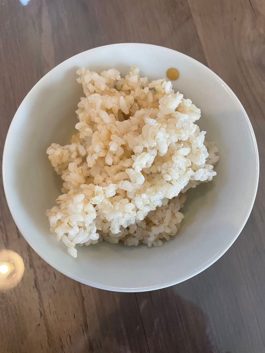 熊本県産　ひのひかり胚芽米　特別栽培米　10キロ(箱込み)