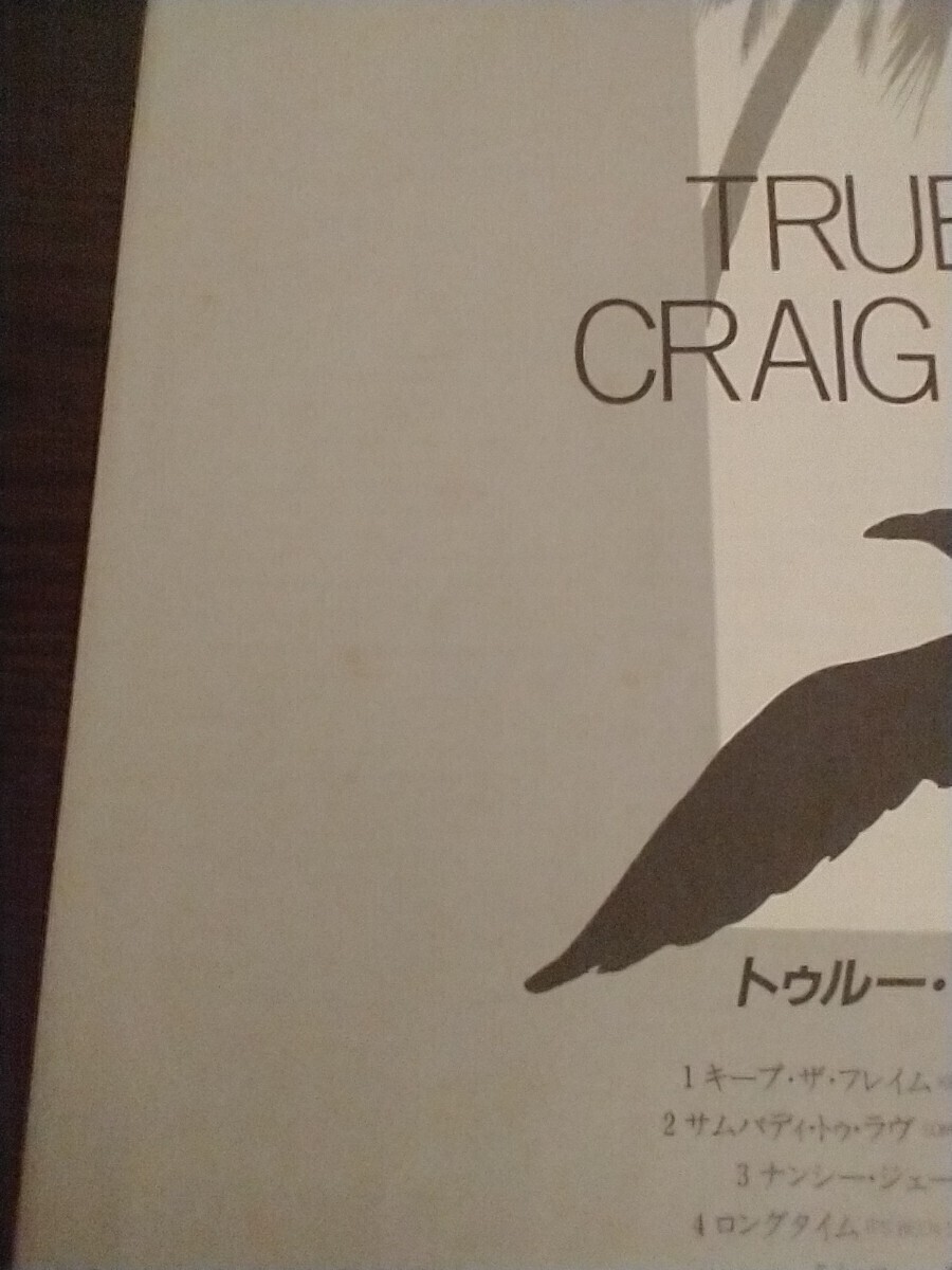  CRAIG RUHNKE クレイグ・ランク「トゥルー・ラヴ」TRUE LOVE ＬPレコード帯付 中古品 の画像7