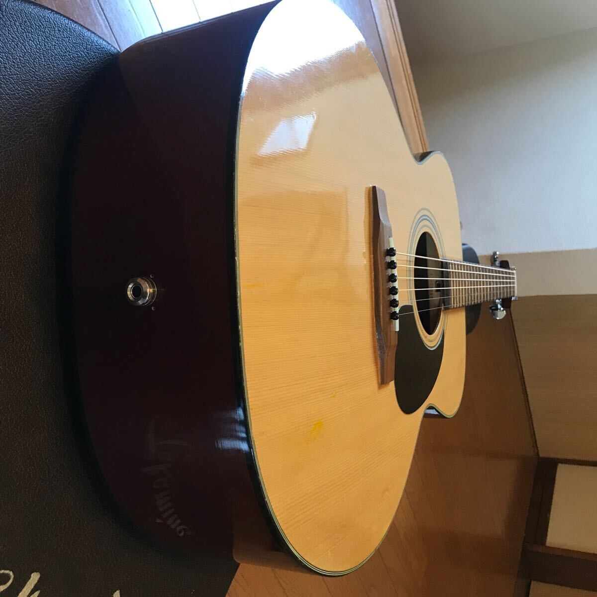 ere acoustic guitar Takamine EG-230