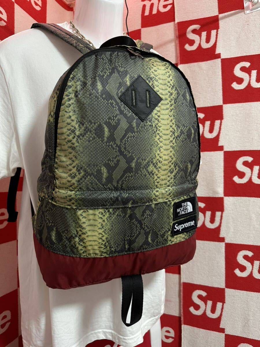 ☆超激レア☆SUPREME×THE NORTH FACE/シュプリーム×ザノースフェイス Snake Daypack/スネークスキン ライトウェイト デイパック_画像3