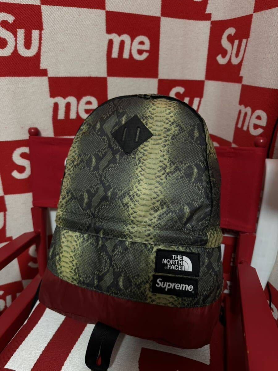 ☆超激レア☆SUPREME×THE NORTH FACE/シュプリーム×ザノースフェイス Snake Daypack/スネークスキン ライトウェイト デイパック_画像5