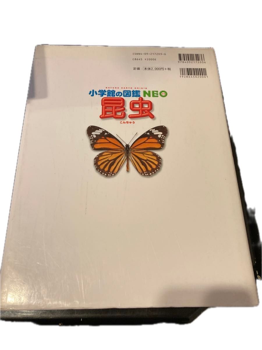 昆虫 （小学館の図鑑ＮＥＯ　３） 小池啓一／〔ほか〕指導・執筆