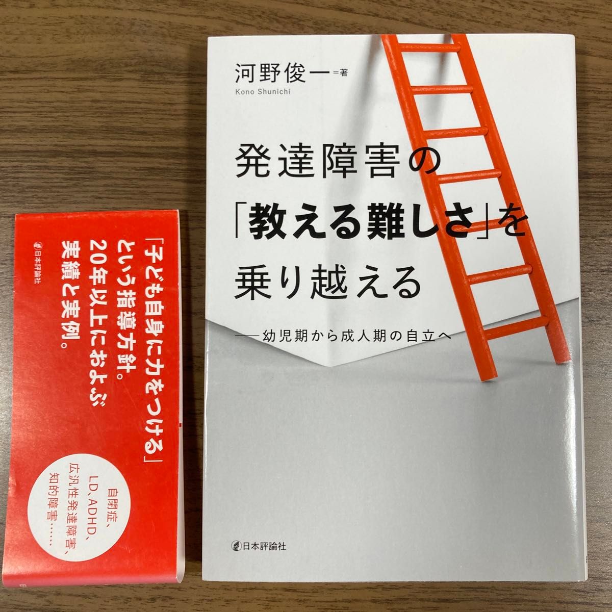 発達障害の「教える難しさ」を乗り越える　幼児期から成人期の自立へ 河野俊一／著