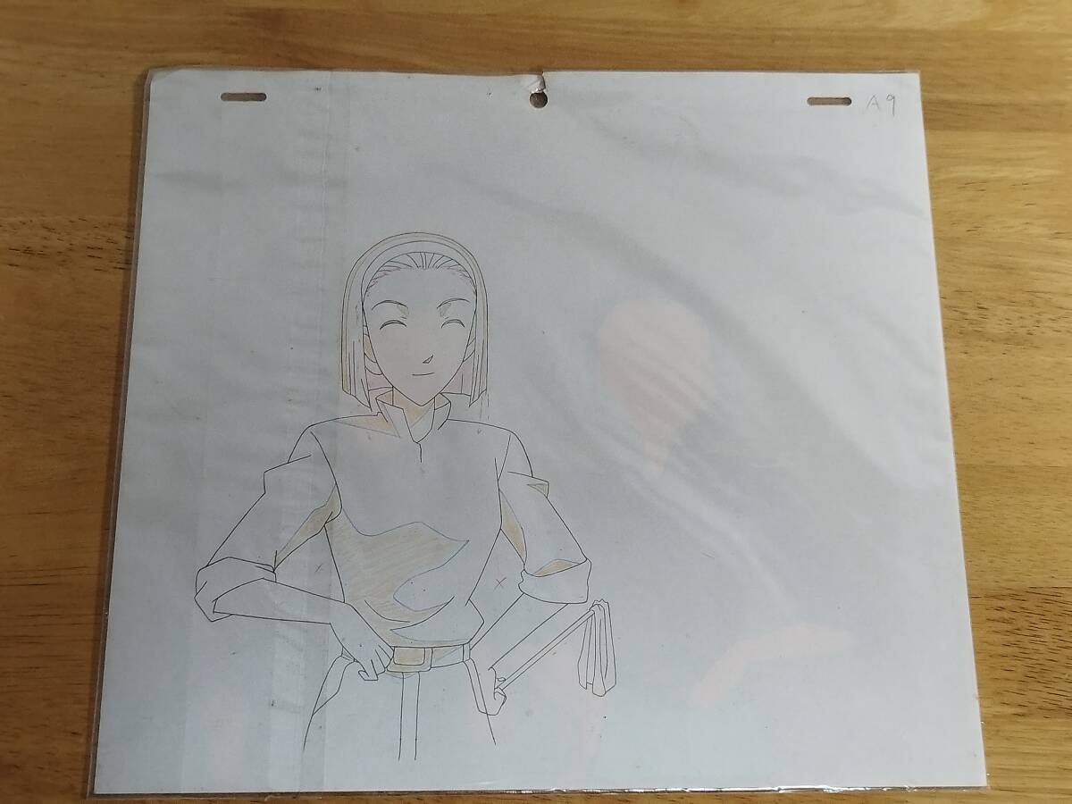 名探偵コナン セル画 毛利蘭 おもちゃ 名探偵コナン セル画 毛利蘭 おもちゃ