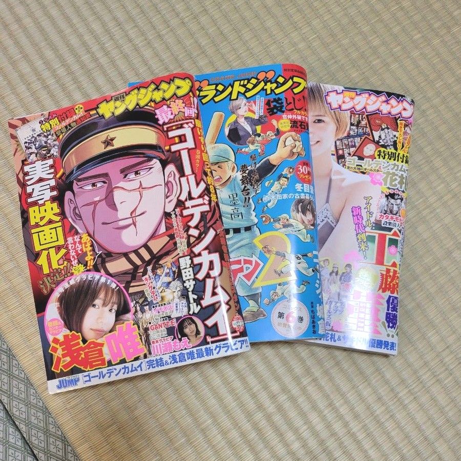 ゴールデンカムイ ヤンジャン 切り抜き 雑誌 付録セット