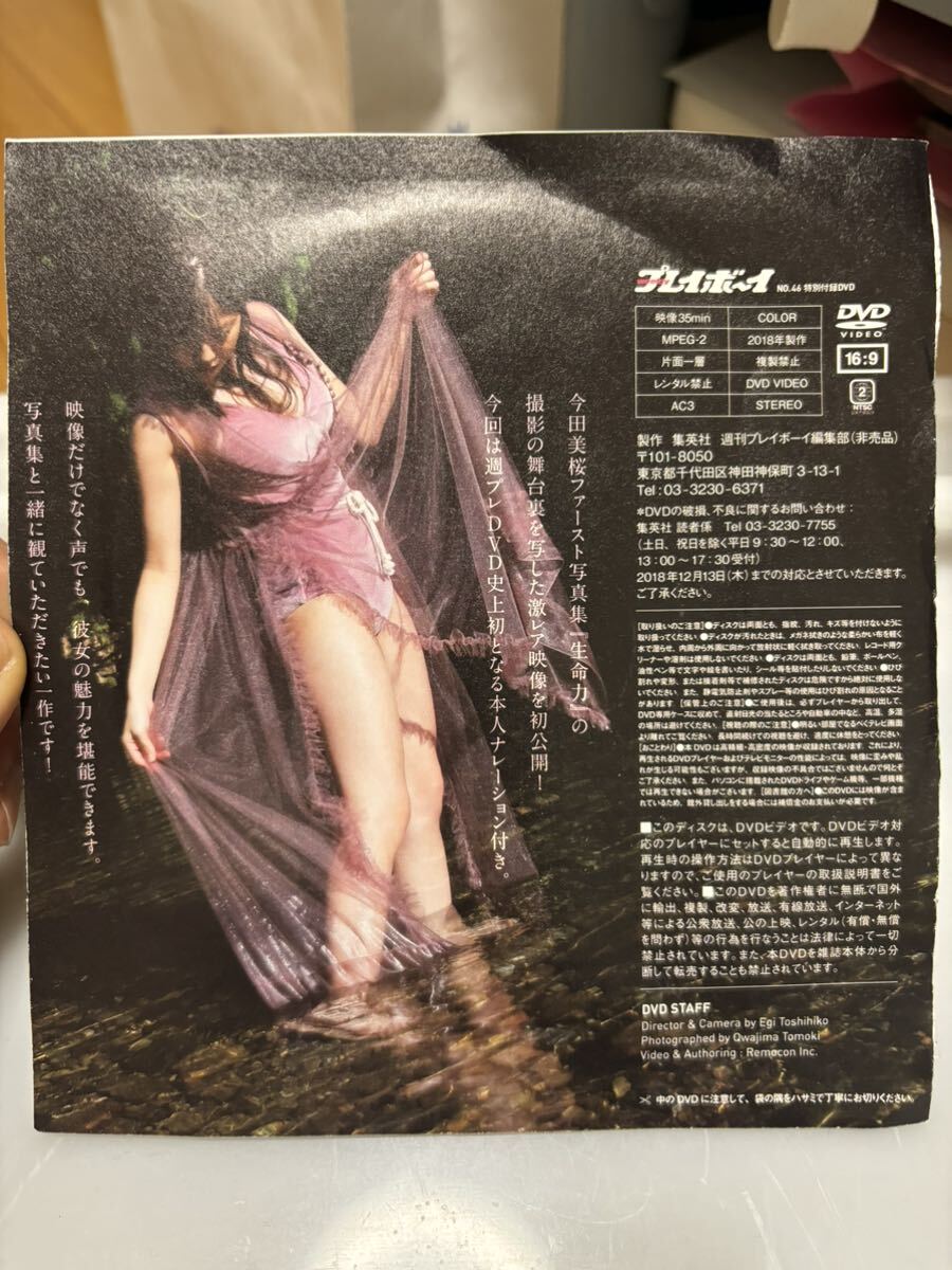 今田美桜 雑誌付録DVD レアの画像2