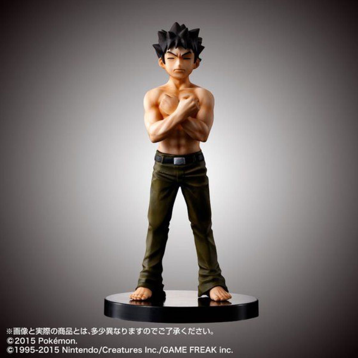 輸送箱未開封】HG タケシ ポケットモンスター 赤・緑 プレミアム 輸送箱未開封】HG タケシ ポケットモンスター 赤・緑 プレミアム