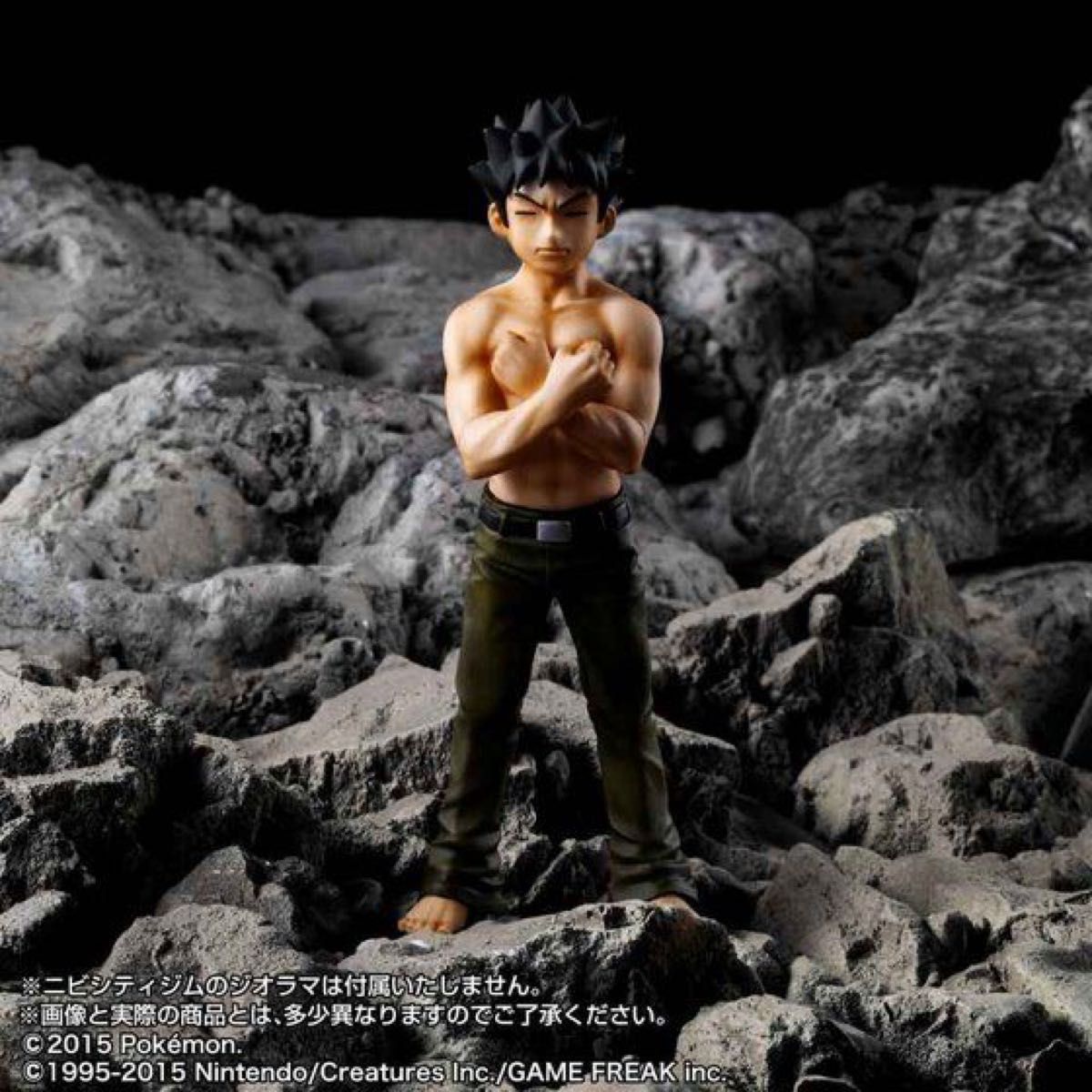 輸送箱未開封】HG タケシ ポケットモンスター 赤・緑 プレミアム 輸送箱未開封】HG タケシ ポケットモンスター 赤・緑 プレミアム