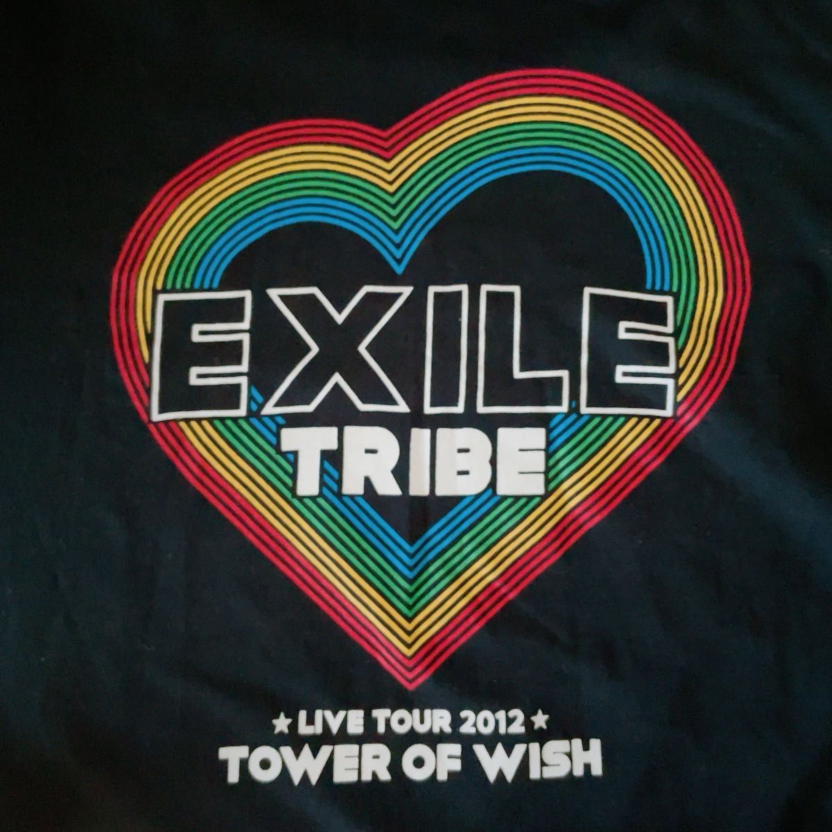 【即配送対応可】EXILE LIVE Tシャツ(半袖) [2012年 LIVE TOUR］