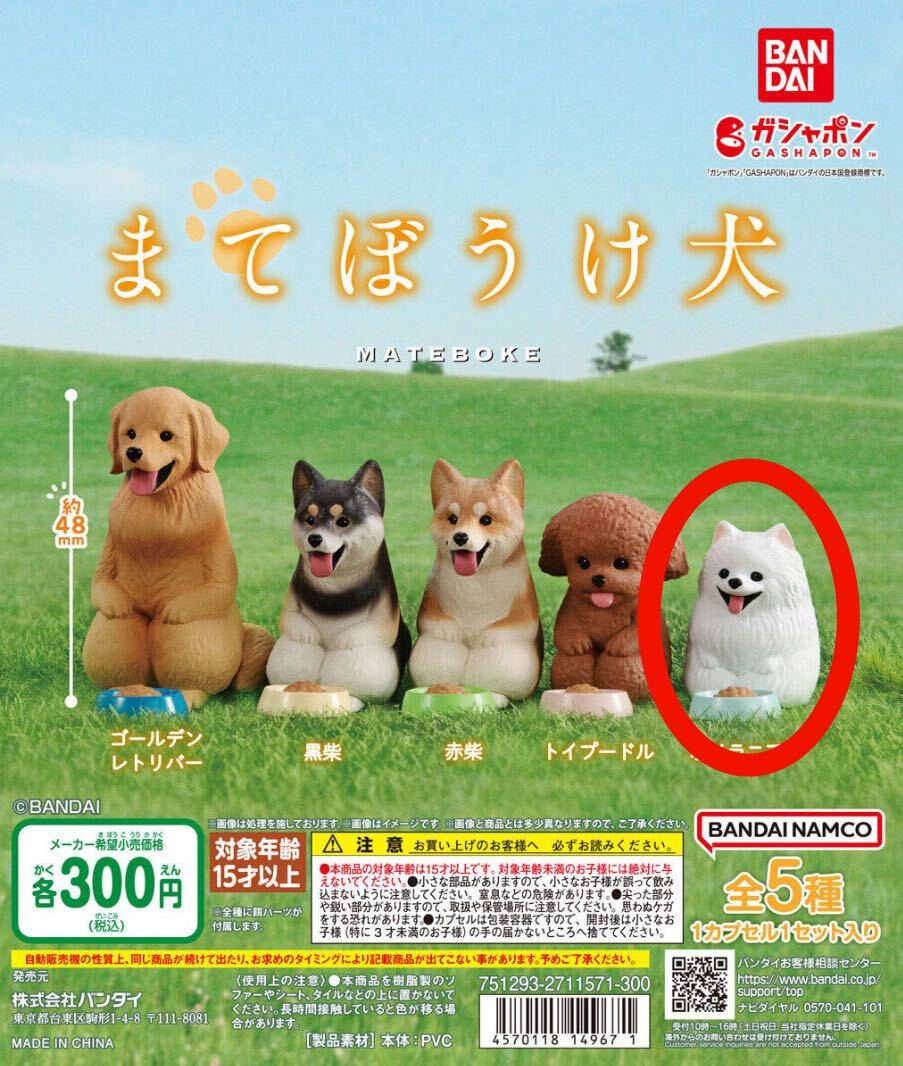 まてぼうけ 犬 ポメラニアン バンダイ ガチャ　ガシャポン　まちぼうけ_画像2