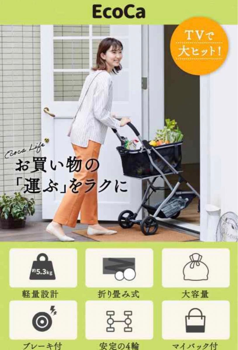 EcoCa エコカ ショッピングカート、マイバッグと保冷バッグ付き