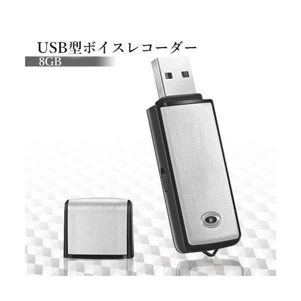 ◇送料無料◇ USB型 ボイスレコーダー 8GB ICレコーダー 小型 軽量_画像1