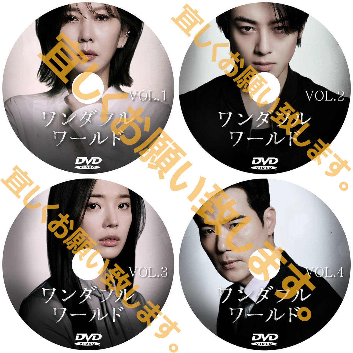 ワンダフルワールド D702 「moon」 DVD 「by」 【韓国ドラマ】 「sea」_画像2