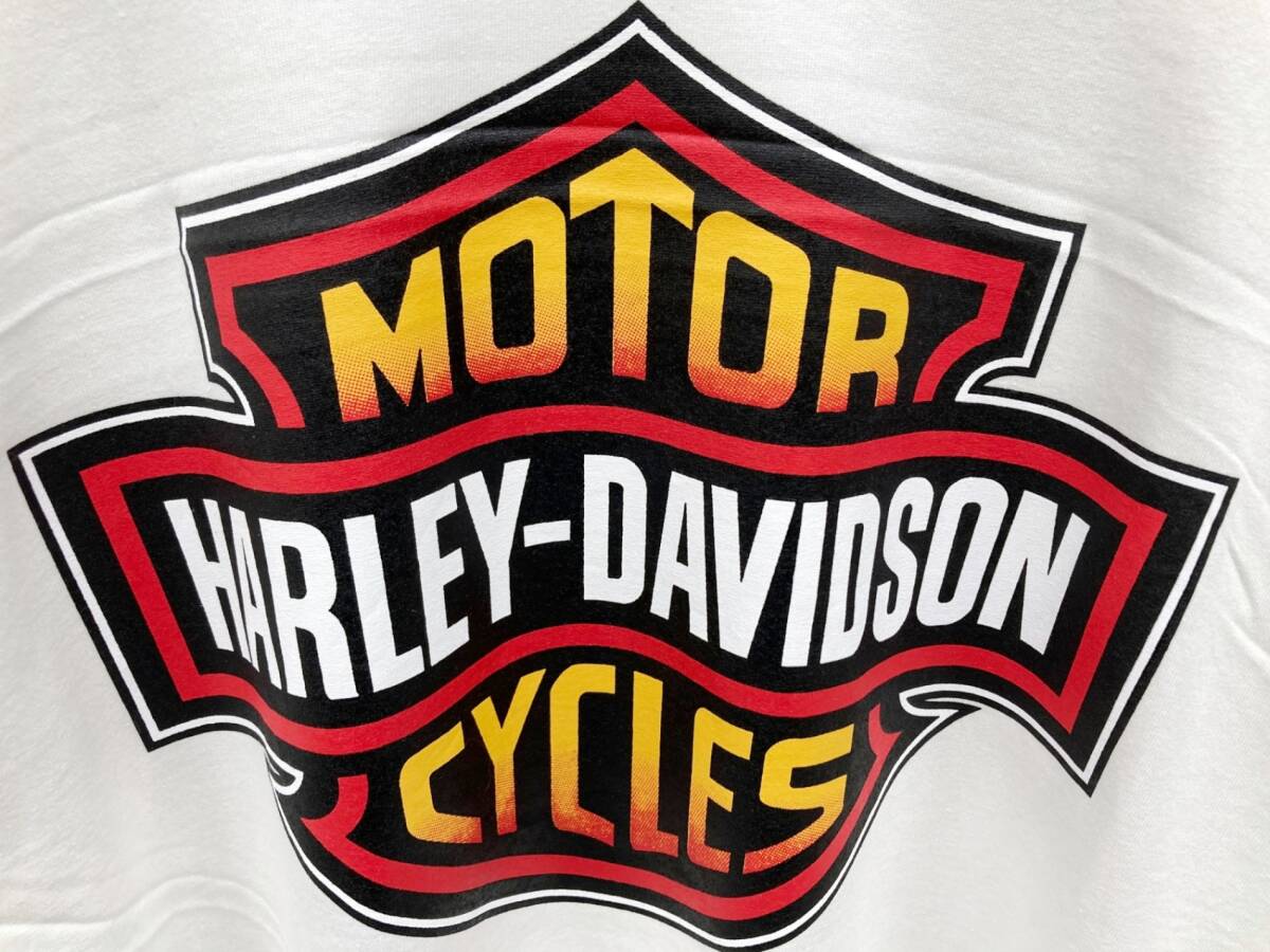 HARLEY DAVIDSON (ハーレーダヴィッドソン) 長袖Tシャツ ロンT 袖プリ ファイヤーパターン XL ホワイト 白 メンズ/028_画像5