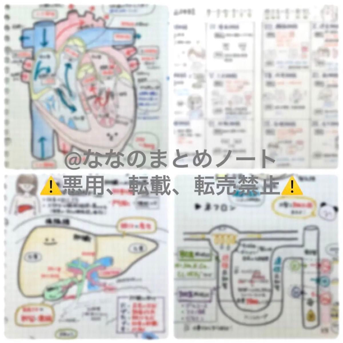 【レビューブックに！】解剖生理学まとめノート 看護学生