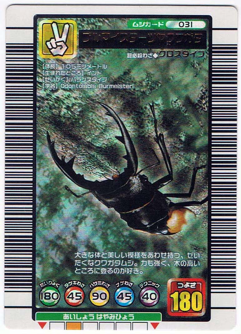 ムシキング ブルマイスターツヤクワガタ elc.or.jp