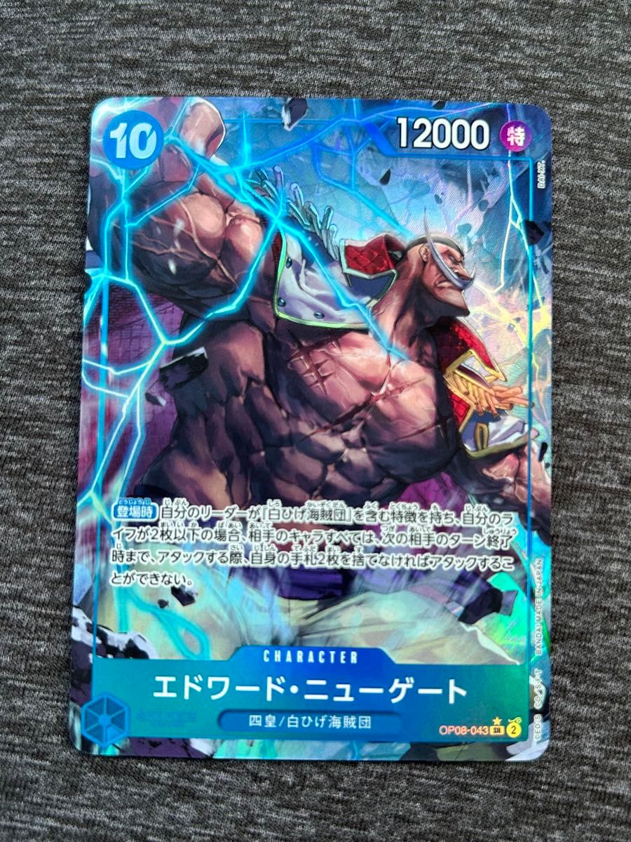 ポートガス・D・エース エドワード・ニューゲート パラレル 二 ポートガス・D・エース エドワード・ニューゲート パラレル 二