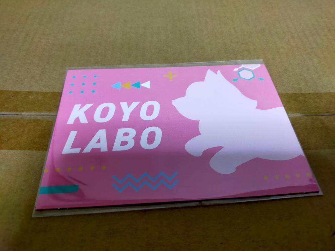 新品正規品】博衣こより 誕生日記念2023 フルセット 数量限定ver 新品正規品】博衣こより 誕生日記念2023 フルセット 数量限定ver