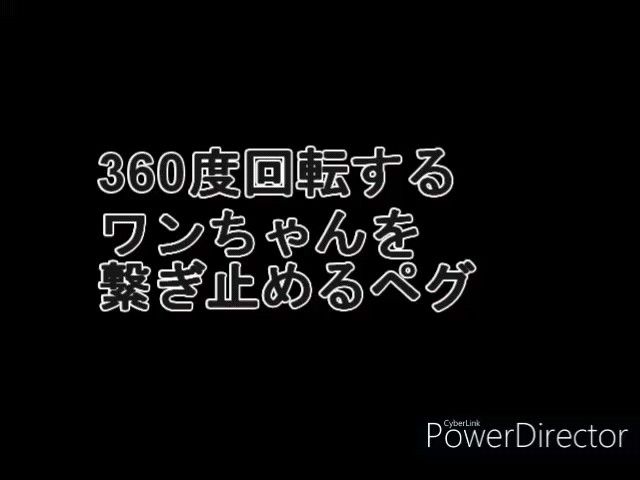 CAMPING MOON ワンちゃんを繋ぎ止め360度回転するペグ ドッグペグ ドッグアンカー 犬と遊 リードをこのペグにつなぐ