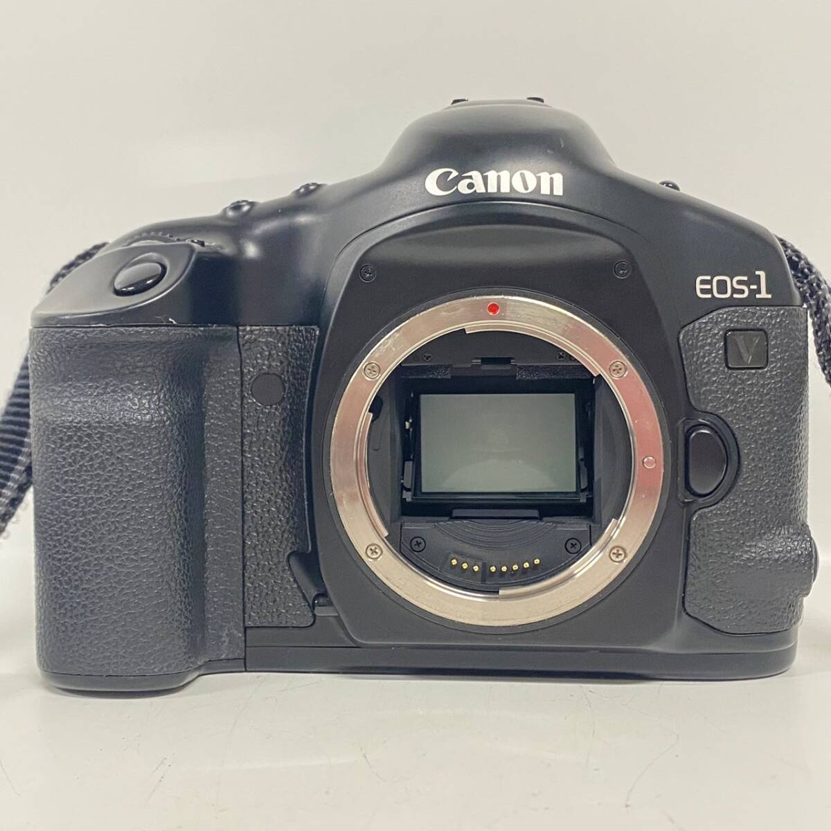1円~【通電確認済】キャノン Canon EOS-1V 一眼レフ フィルムカメラ ボディ 付属品あり G143199の画像3