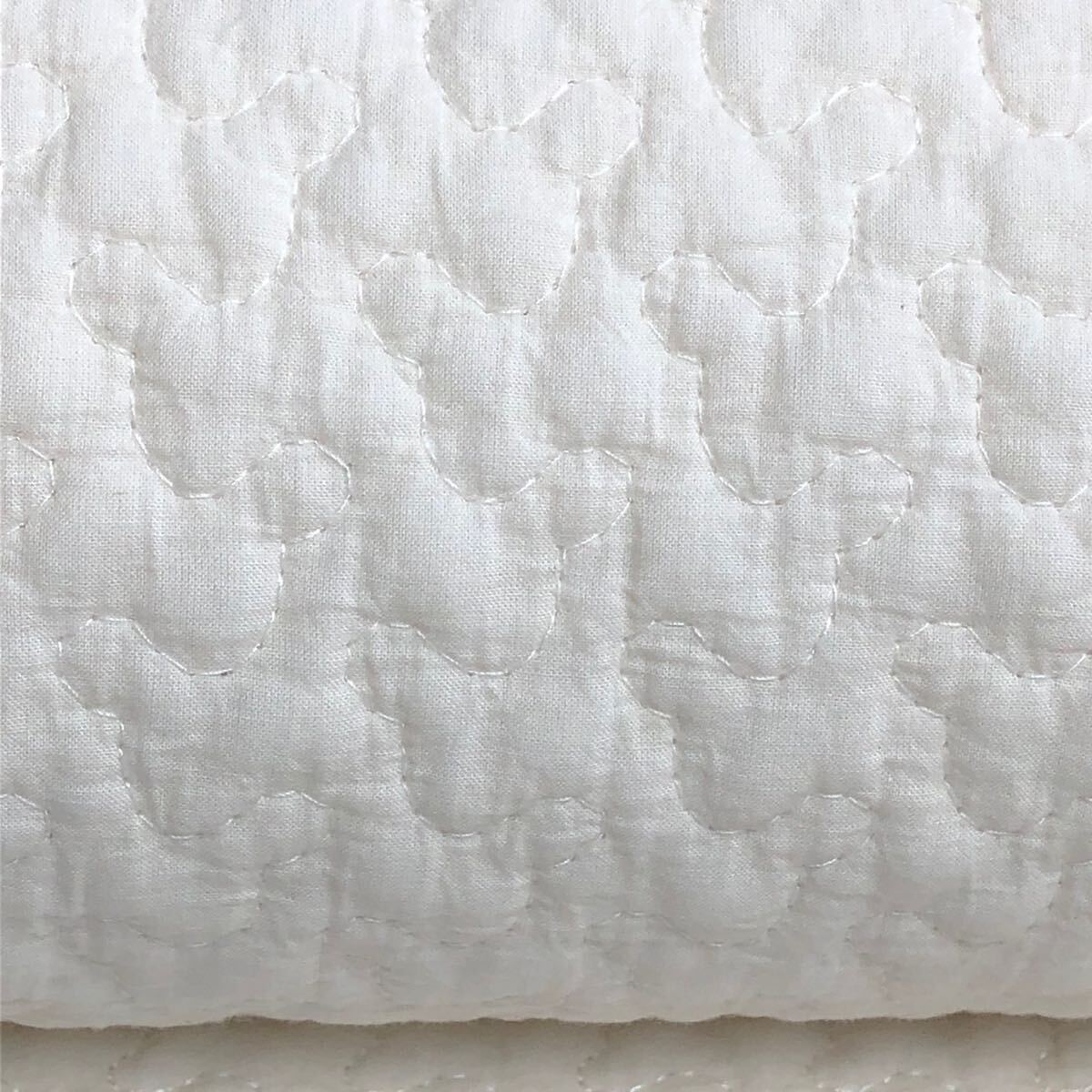  immediately buy OK Korea Eve ruk loud pattern ivory . daytime . rug mat 150×200