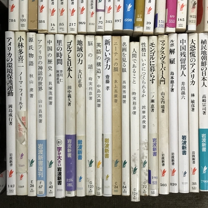 岩波新書 まとめて 100冊以上 セット 在日外国人 難民問題とは何か 中国残留邦人 他_画像7