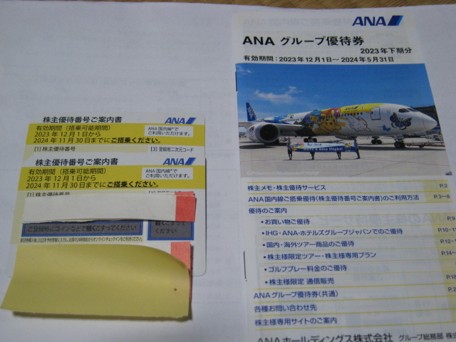 ANA 全日空 株主優待券 ２枚・グループ優待券 (2024年11月30日までに搭乗） 送料無料 _画像1