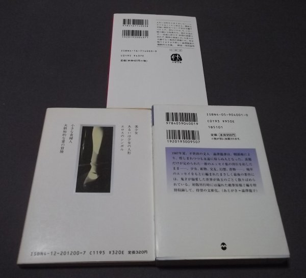 ●文庫/澁澤龍彦/3冊組「都心ノ病院ニテ幻覚ヲ見タルコト」「少女コレクション」「快楽主義の哲学」_画像8