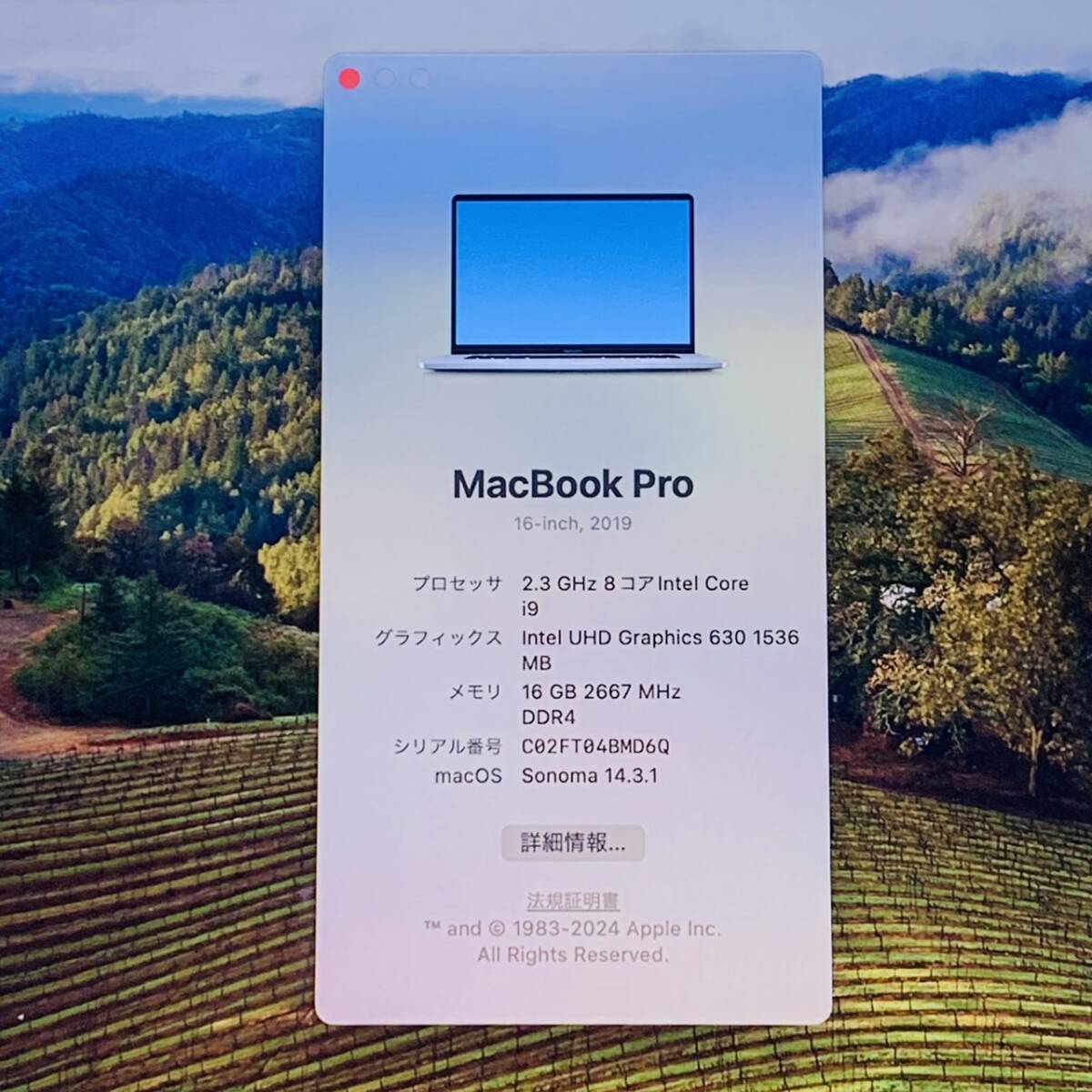 新品同様 Apple MacBook Pro i9 16GB / 1TB MVVM2J/A 16インチ 充電回数9回 P14_画像6