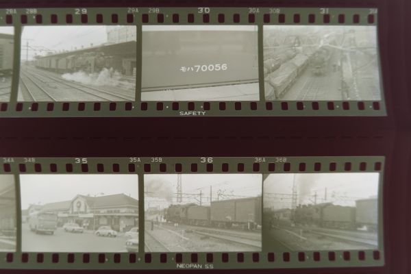 ■古い鉄道写真ネガ 38点■蒸気機関車■上野駅　小山機関区　ひばり■昭和45年6月■240506_画像7