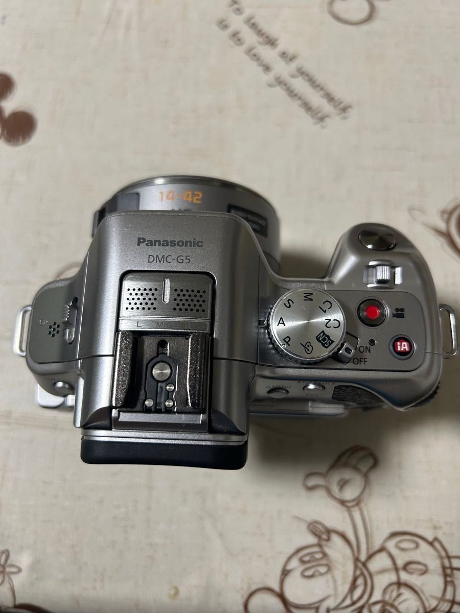 パナソニック　DMC-G5 ミラーレス一眼 Panasonic