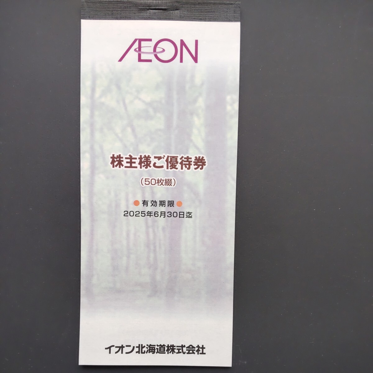 イオン北海道 株主優待券5000円分(100円×50枚) 2025年6月30日まで有効の画像1