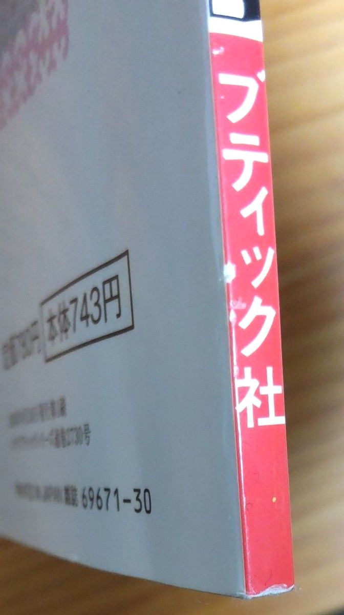 書籍『粘土で作る 小さなスイーツ』～とびきり可愛くて、本物みたいにおいしそうなスイーツたちがいっぱい～     ブティック社