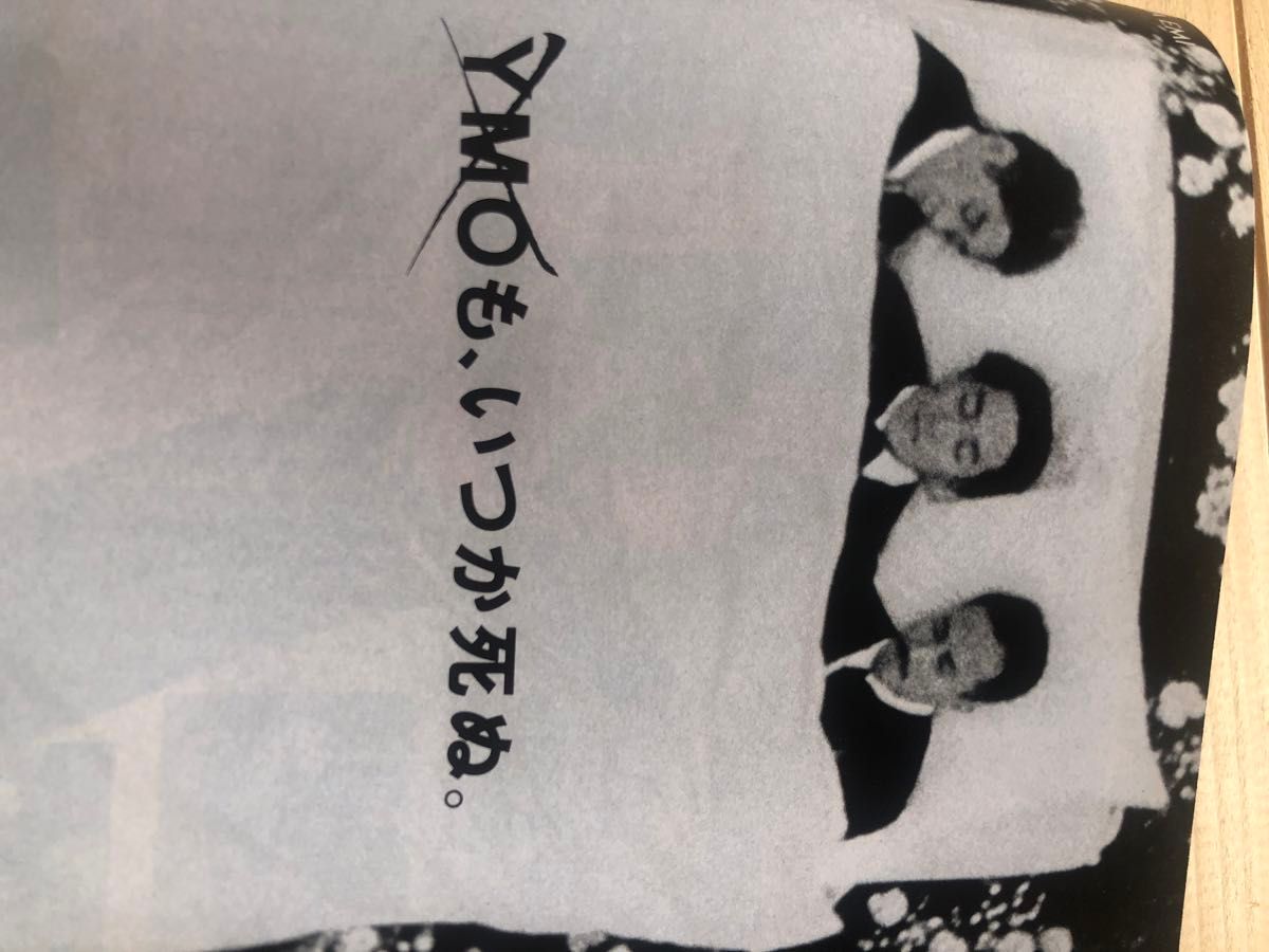 1993年　宝島　雑誌　バンドブーム　　 電気グルーヴ 忌野清志郎  ちはる