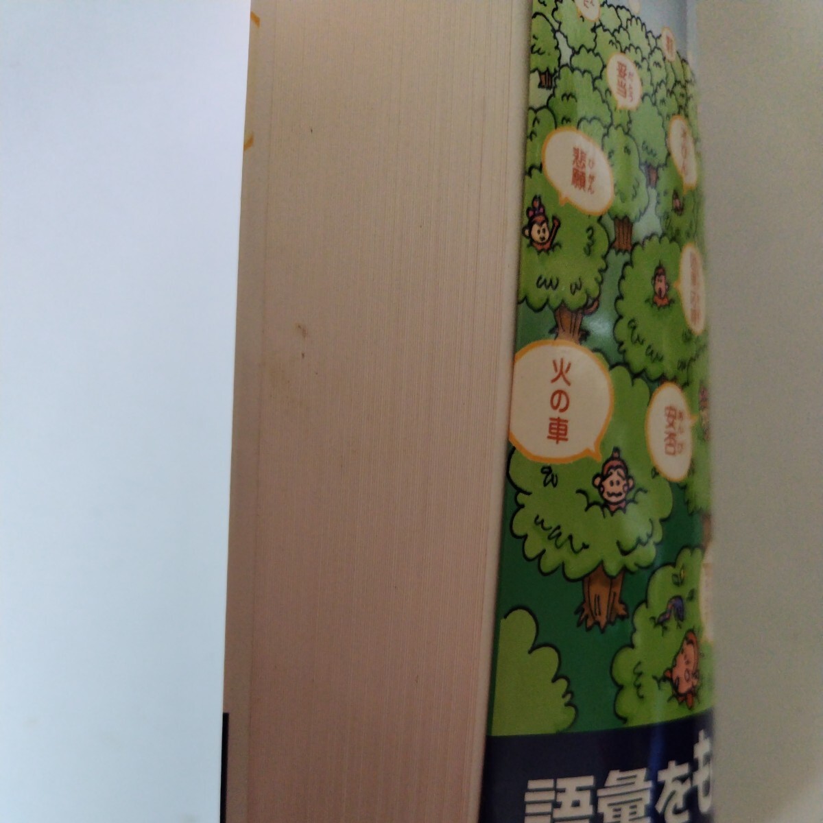 item_image_4