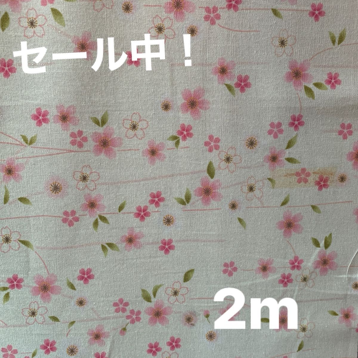 和柄小花生地　113㎝巾 2m