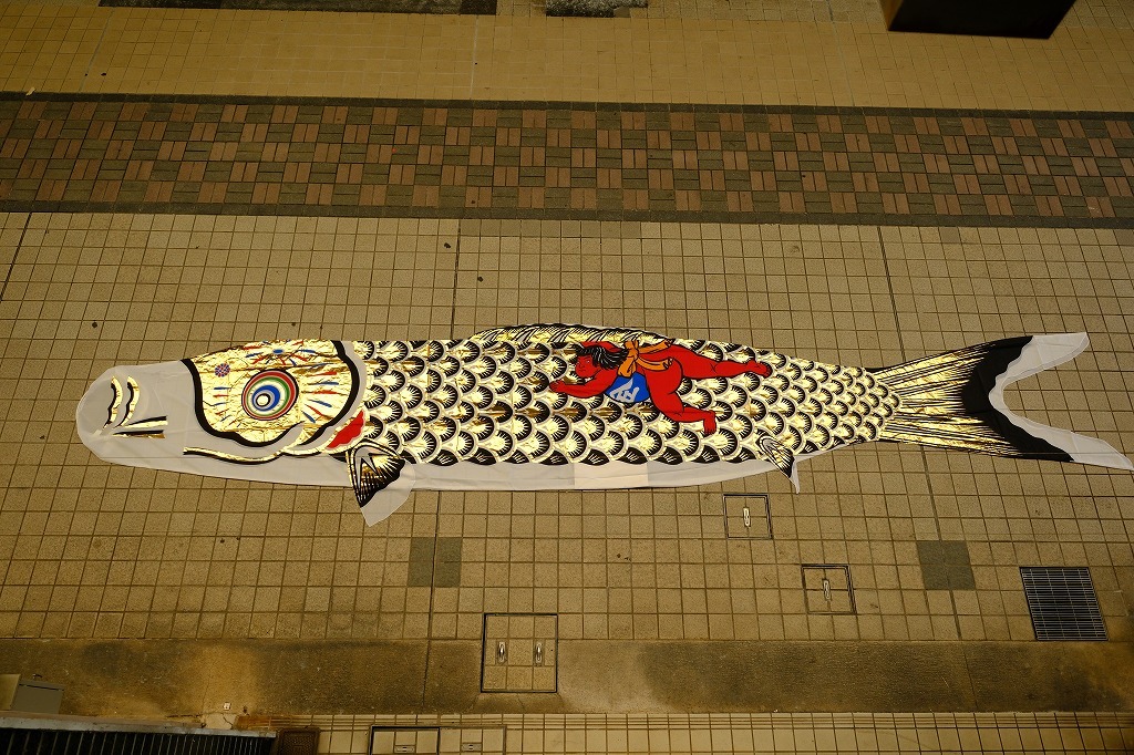 鯉のぼり 鯉幟 6m 青 京友禅ゴールド カネボウナイロン使用　H405_画像10