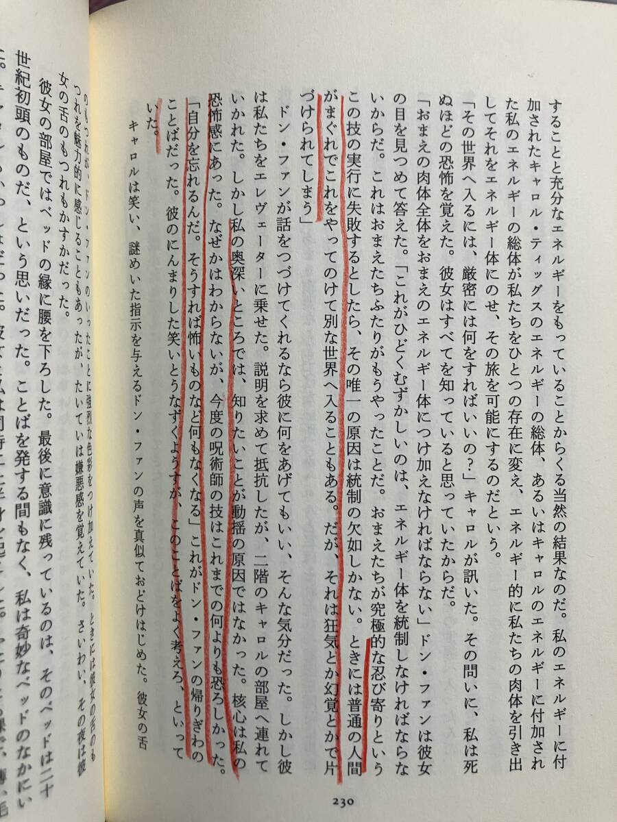 GA796 夢見の技法　超意識への飛翔　著：カルロス・カスタネダ　二見書房/呪術師　書き込みあり_画像7