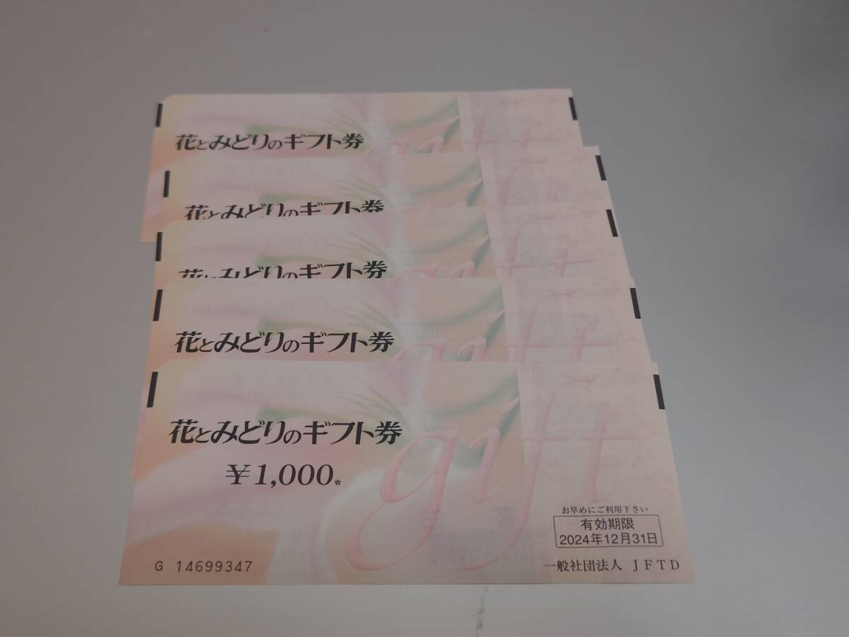 花とみどりのギフト券5000円分　2024年12月末まで　花のギフト券　プレゼント　父の日　お祝いに！_画像1